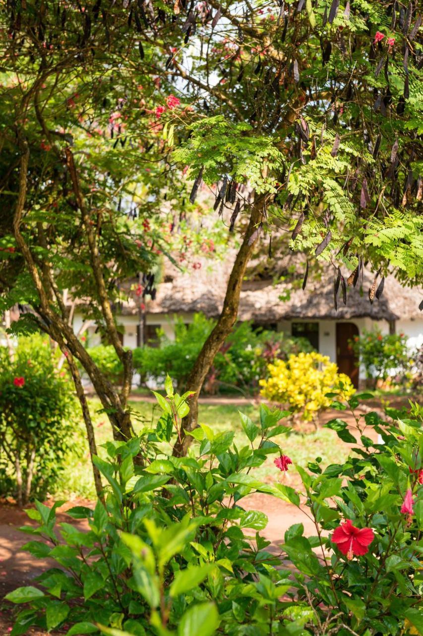 Sandies Baobab Beach Zanzibar Nungwi Buitenkant foto